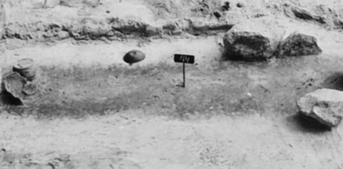 Pochówek szkieletowy odsłonięty na cmentarzysku w Świbiu