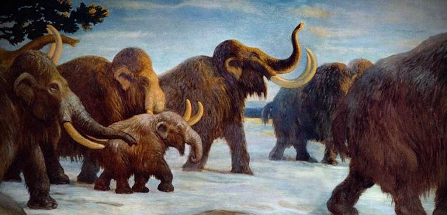 Wirtualna lekcja: Mamut i inne zwierzęta epoki lodowcowej