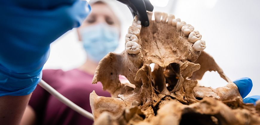 Badanie czaszek z gliwickiej nekropolii, fot. R. Kaźmierczak