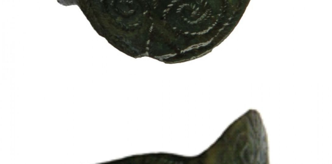 Miedziany pierścionek zdobiony motywem florystycznym znaleziony w warstwie cmentarzyskowej, fot. R. Zdaniewicz
