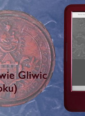 e-book: Burmistrzowie Gliwic... - 