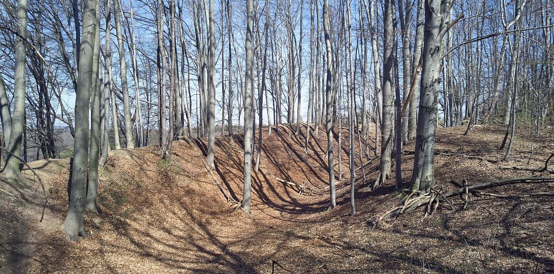 Zachowane obwarowania grodziska w Lubomi, zbiory Muzeum w Wodzisławiu Śląskim